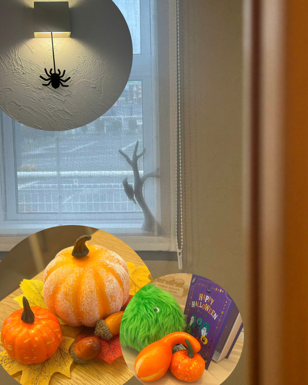 窓辺や照明付近のクモの飾りと、かぼちゃなどのハロウィン小物